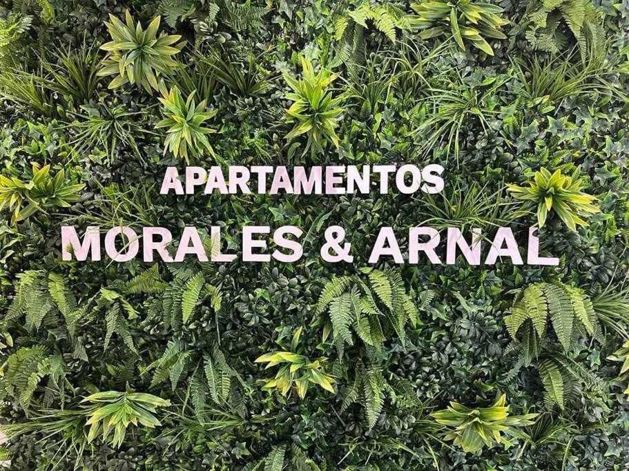 XXI E Apartamentos Morales & Arnal Ronda Eksteriør billede